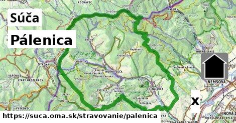 Pálenica, Súča