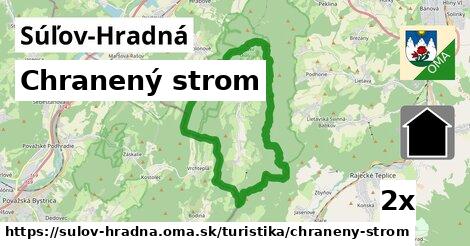 Chranený strom, Súľov-Hradná