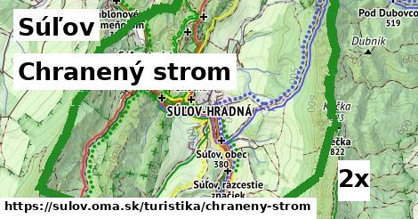 Chranený strom, Súľov