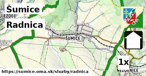 Radnica, Šumice