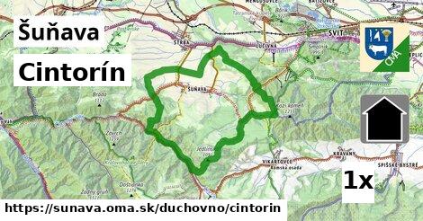 Cintorín, Šuňava