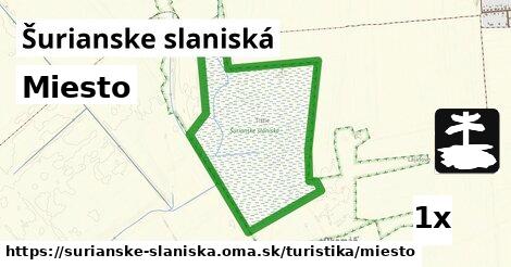 Miesto, Šurianske slaniská