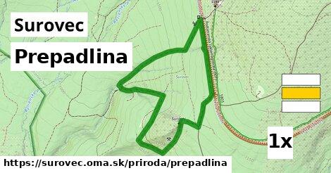 Prepadlina, Surovec