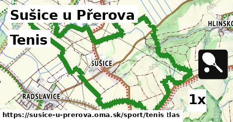 Tenis, Sušice u Přerova