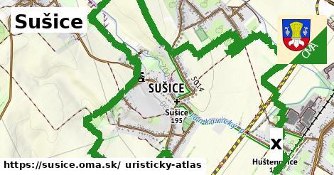 Plážový volejbal, Sušice