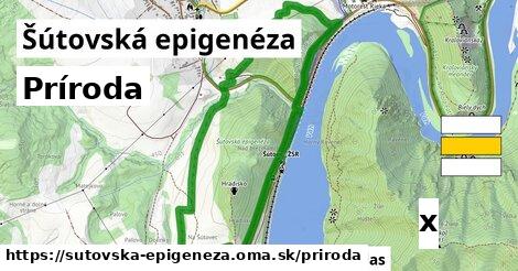 príroda v Šútovská epigenéza