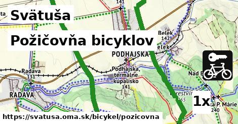 Požičovňa bicyklov, Svätuša