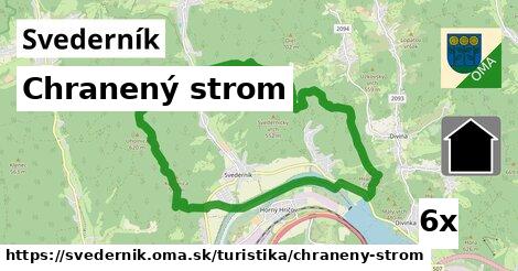 Chranený strom, Svederník