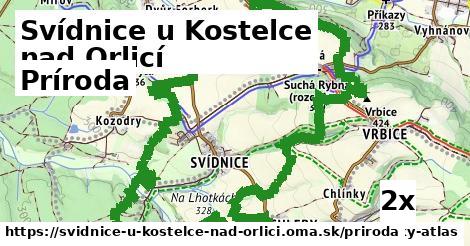 príroda v Svídnice u Kostelce nad Orlicí