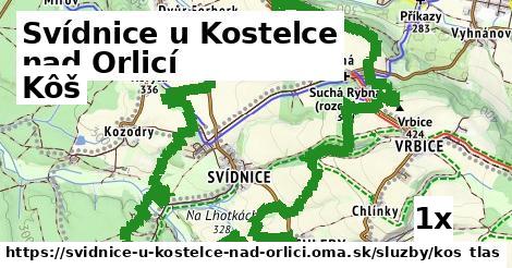 Kôš, Svídnice u Kostelce nad Orlicí