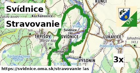 stravovanie v Svídnice