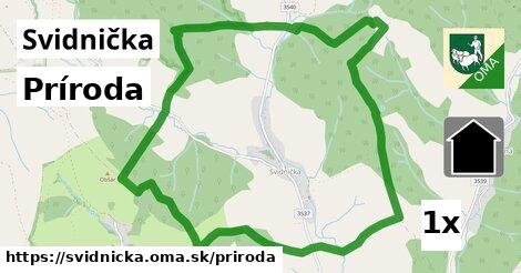 príroda v Svidnička