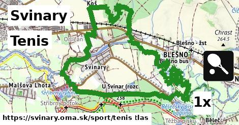 Tenis, Svinary