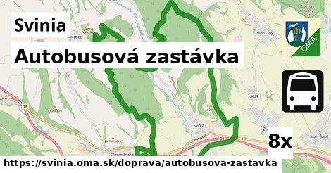 Autobusová zastávka, Svinia