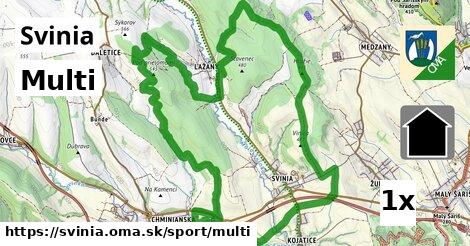 Multi, Svinia