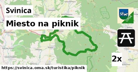 Miesto na piknik, Svinica