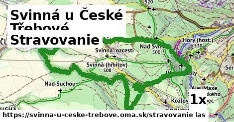 stravovanie v Svinná u České Třebové