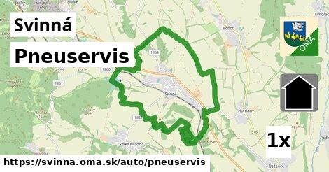 Pneuservis, Svinná