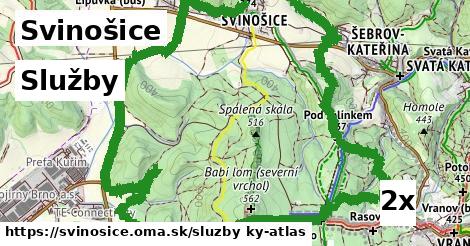 služby v Svinošice