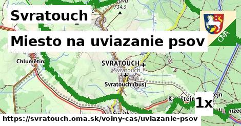 Miesto na uviazanie psov, Svratouch