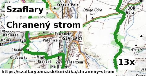 Chranený strom, Szaflary