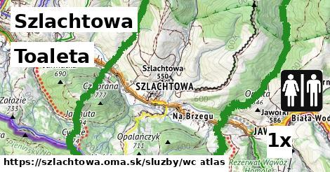 toaleta v Szlachtowa