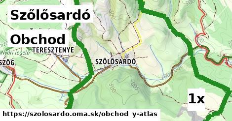obchod v Szőlősardó
