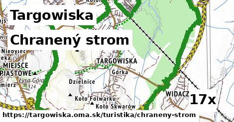 chranený strom v Targowiska