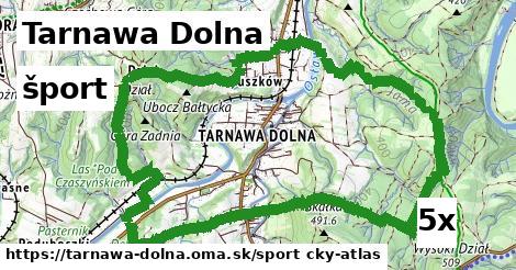 šport v Tarnawa Dolna
