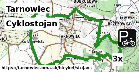 Cyklostojan, Tarnowiec