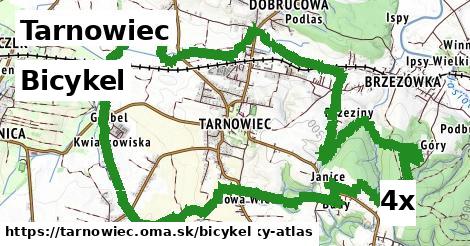 bicykel v Tarnowiec