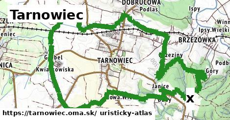 radnica v Tarnowiec