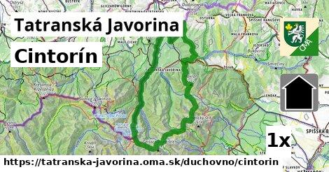 Cintorín, Tatranská Javorina