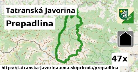 Prepadlina, Tatranská Javorina