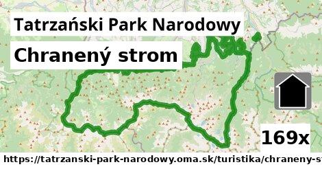 Chranený strom, Tatrzański Park Narodowy