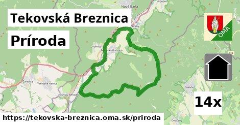 príroda v Tekovská Breznica