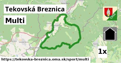 Multi, Tekovská Breznica