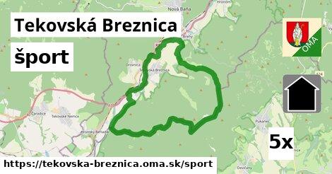 šport v Tekovská Breznica