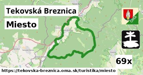 Miesto, Tekovská Breznica