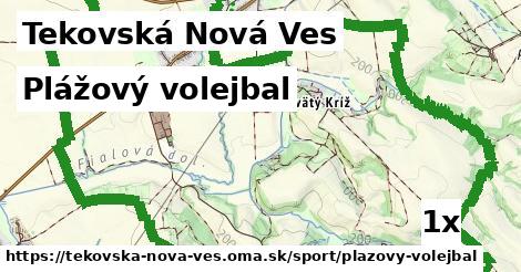 plážový volejbal v Tekovská Nová Ves