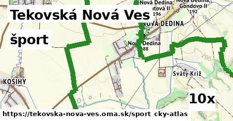 šport v Tekovská Nová Ves