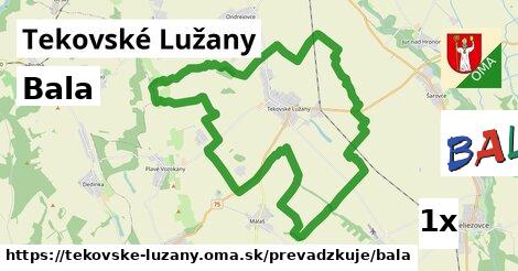 Bala, Tekovské Lužany