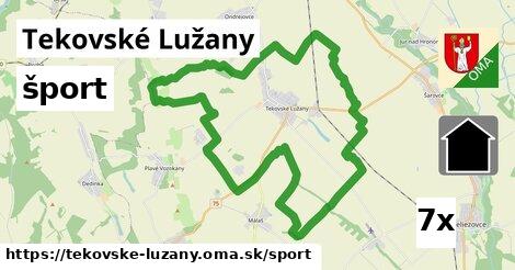 šport v Tekovské Lužany