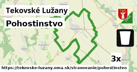 Pohostinstvo, Tekovské Lužany