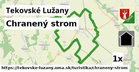 Chranený strom, Tekovské Lužany