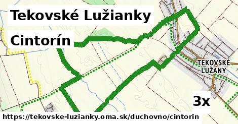 Cintorín, Tekovské Lužianky