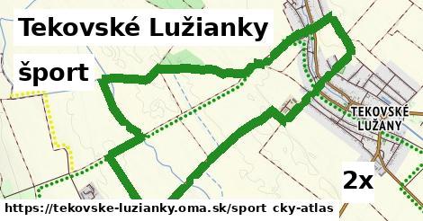 šport v Tekovské Lužianky