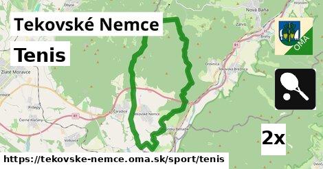 Tenis, Tekovské Nemce