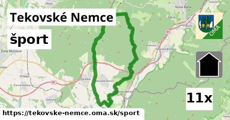 šport v Tekovské Nemce