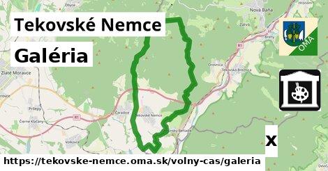 Galéria, Tekovské Nemce